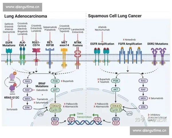 从分子机制到靶向治疗全面解析肺腺癌的发生发展规律
